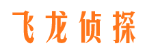 平邑市私家侦探